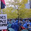 Study: Occupy Movement Well-Off, Educated, But Still Stung By Bad Economy